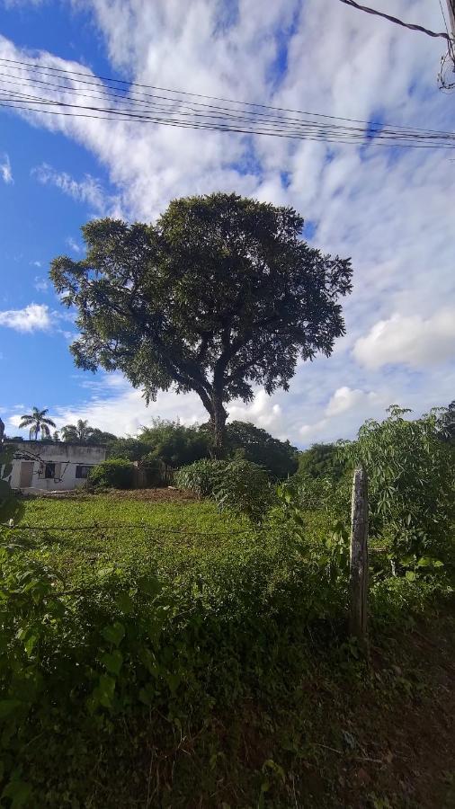 Hostel Meu Cantinho Caxambu Mg 외부 사진